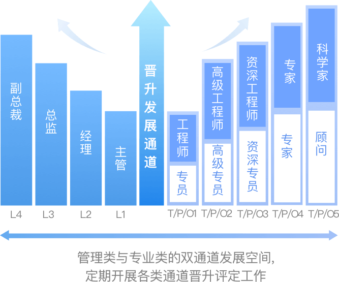 职业发展