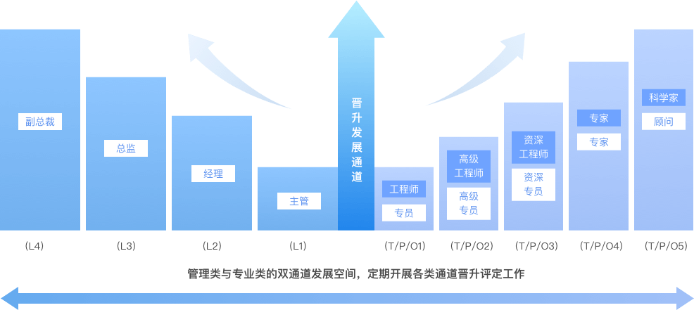 职业发展